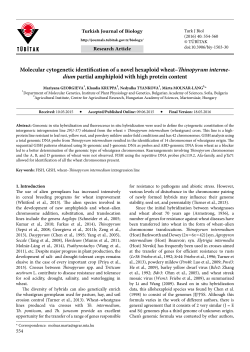 Molecular cytogenetic identification of a novel