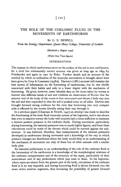 [no] THE ROLE OF THE COELOMIC FLUID IN THE MOVEMENTS