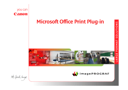 Microsoft Office Print Plug-in