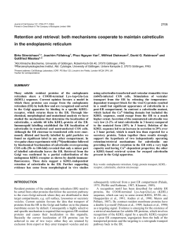 Retention and retrieval: both mechanisms