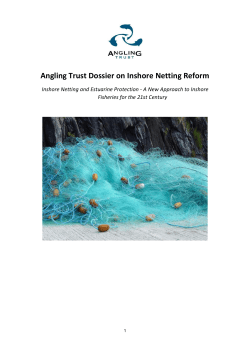 Inshore Netting and Estuarine Protection