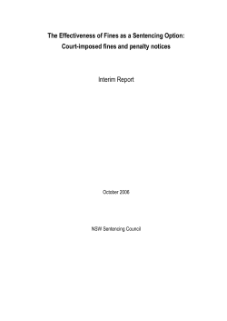The Effectiveness of Fines as a Sentencing Option