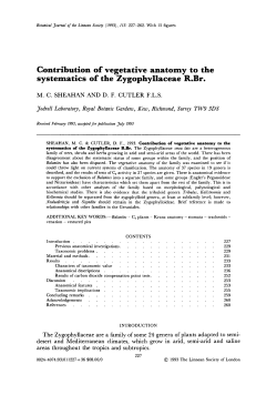 Contribution of vegetative anatomy to the systematics of the
