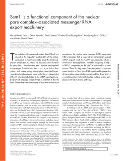 Sem1 is a functional component of the nuclear pore complex