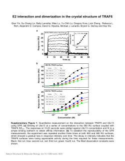 E2 interaction and dimerization in the crystal structure of TRAF6