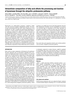 Intracellular composition of fatty acid affects the processing and