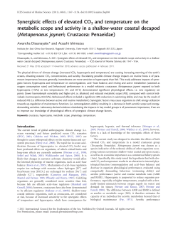 Synergistic effects of elevated CO2 and