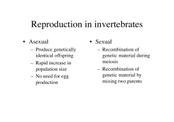 Reproduction in invertebrates