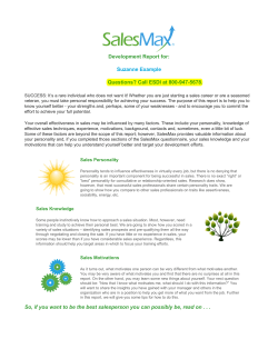 Salesmax Development Report