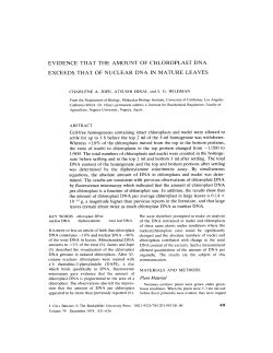 evidence that the amount of chloroplast dna