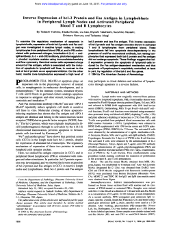 lymphocytes in peripheral lymph nodes and