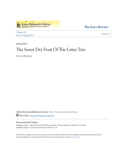 The Sweet Dry Fruit Of The Lotus Tree