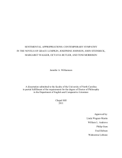 sentimental appropriations: contemporary sympathy in the novels of
