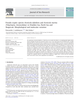 Pseudo-cryptic species Arenicola defodiens and Arenicola