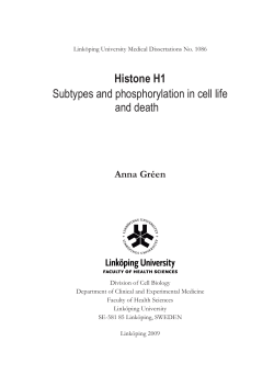 Histone H1 Subtypes and phosphorylation in cell life and death