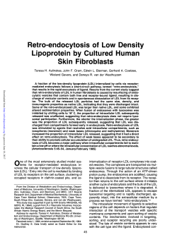 Retro-endocytosis of Low Density Lipoprotein by Cultured Human