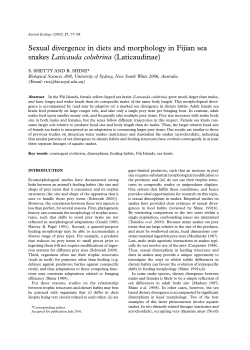 Sexual divergence in diets and morphology in Fijian sea snakes