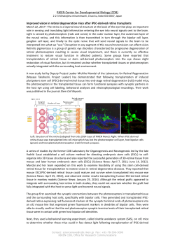 RIKEN Center for Developmental Biology (CDB)