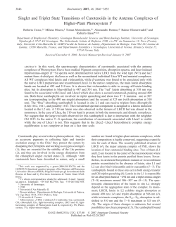 Singlet and Triplet State Transitions of Carotenoids in the Antenna