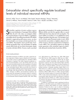 Extracellular stimuli specifically regulate localized levels of
