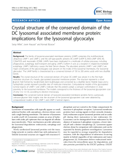 Crystal structure of the conserved domain of the DC lysosomal