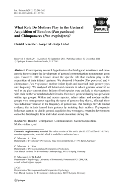 and Chimpanzees (Pan troglodytes)?