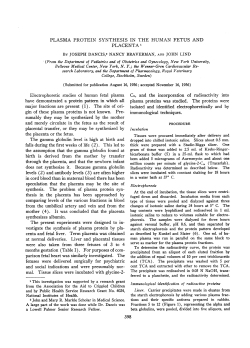synthesizes albumin. fetuses were delivered surgically for