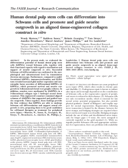 Human dental pulp stem cells can differentiate into Schwann cells