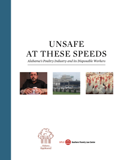 unsafe at these speeds - Southern Poverty Law Center