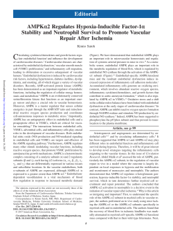 PDF - Circulation Research