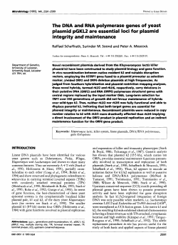 The DNA and RNA polymerase genes of yeast