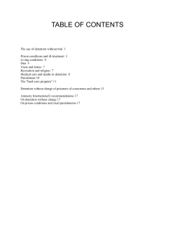 TABLE OF CONTENTS - Amnesty International