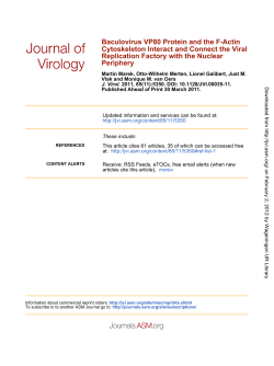 Periphery Replication Factory with the Nuclear Viral Cytoskeleton