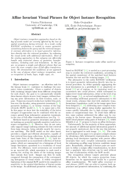Affine Invariant Visual Phrases for Object Instance Recognition