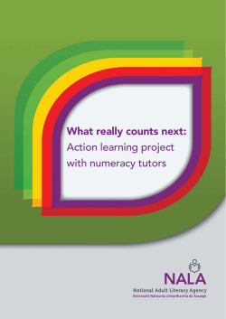 Case studies of adult numeracy practice in Ireland