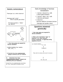 lecture presentation
