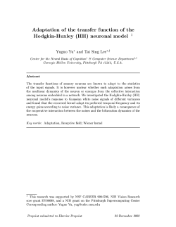 Adaptation of the transfer function of the Hodgkin