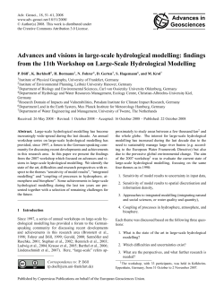Advances and visions in large-scale hydrological modelling