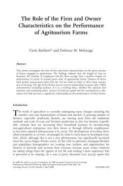 The Role of the Firm and Owner Characteristics on the Performance