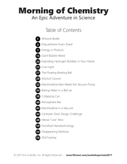 Morning of Chemistry