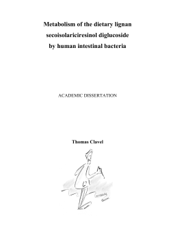 Metabolism of the dietary lignan secoisolariciresinol diglucoside by