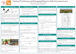 Kristen Lawler and Christian Schmidt Biological Motivation Prey