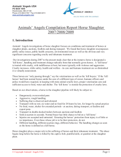 Animals` Angels horse slaughter compilation report