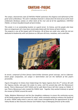 the figeac style - Chateau