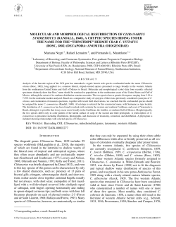 molecular and morphological resurrection of clibanarius