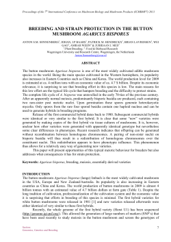 Breeding and Strain Protection in the button mushroom Agaricus
