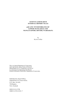 PDF, 143K (opens in new window)