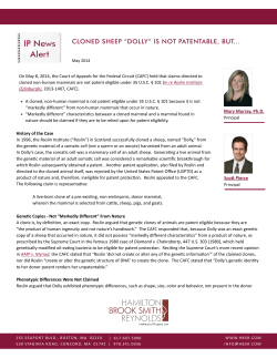 cloned sheep &ldquo;dolly&rdquo; is not patentable, but