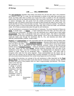 cell membranes - Explore Biology