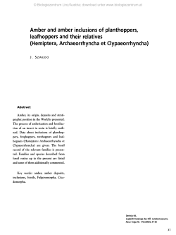 Amber and amber inclusions of planthoppers, leafhoppers and their